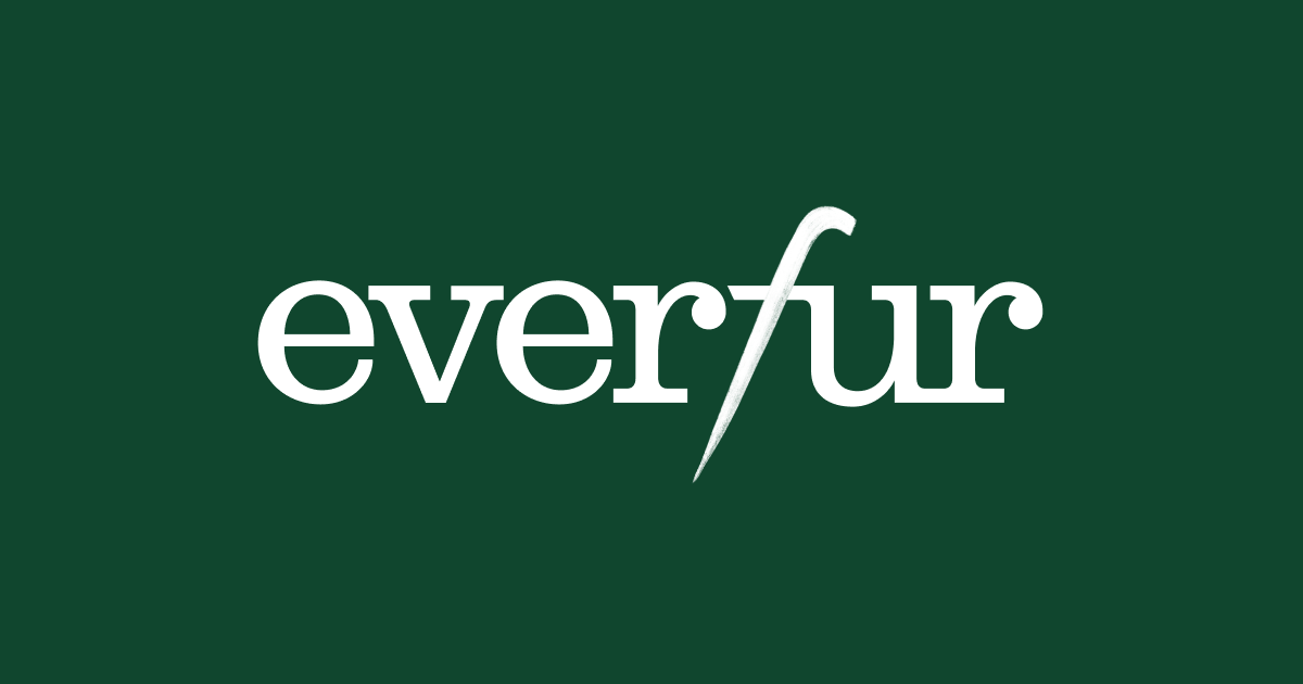 Everfur | Fur Health Tests For Dogs