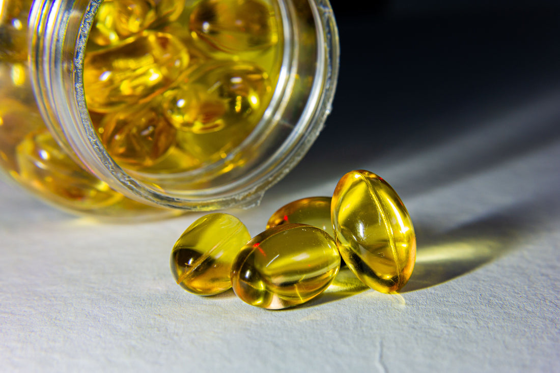 Do dogs need vitamins? What does the science say?